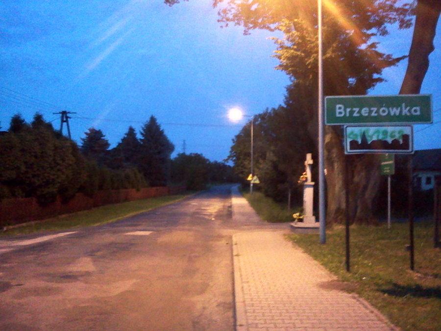 Brzezówka