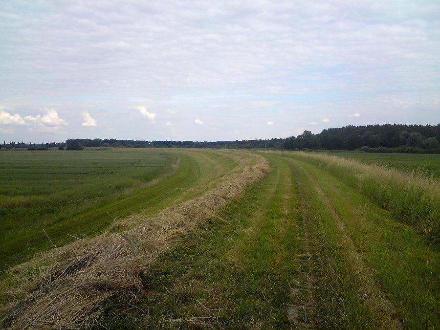 Wały pokoszone