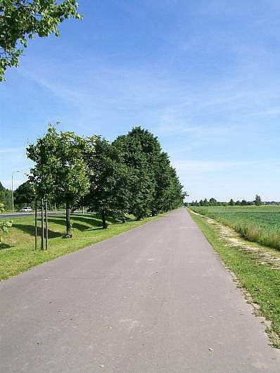Asfaltowy chodnik i pachnące lipy- sama radość z jazdy