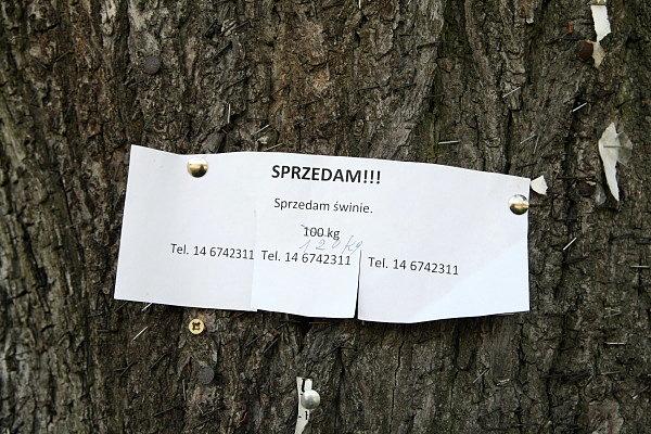 Ogłoszenie