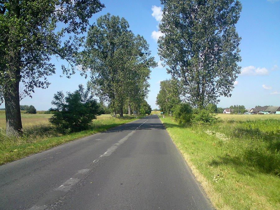 Podczas powortu