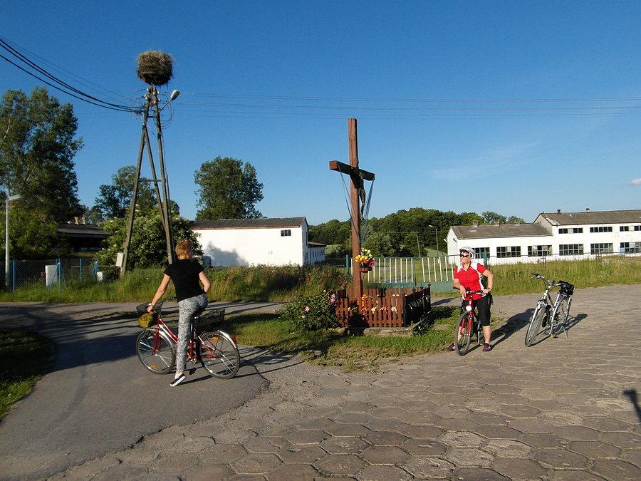 Na rozwidleniu dróg w Goszynie