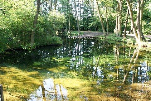 Niebieskie Źródła