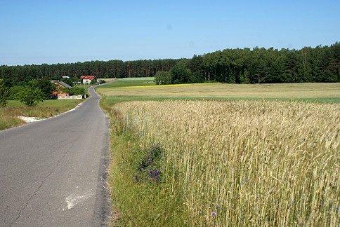 Syski - długi zjazd