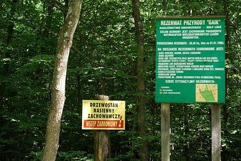 W Rezerwacie Gaik