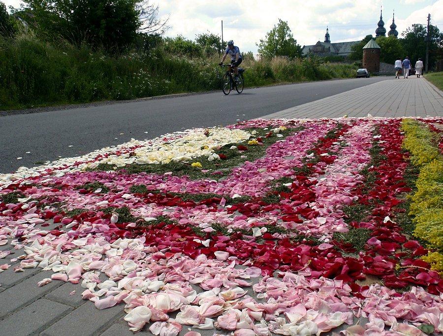 Dywan z płatków kwiatów, Wancerzów