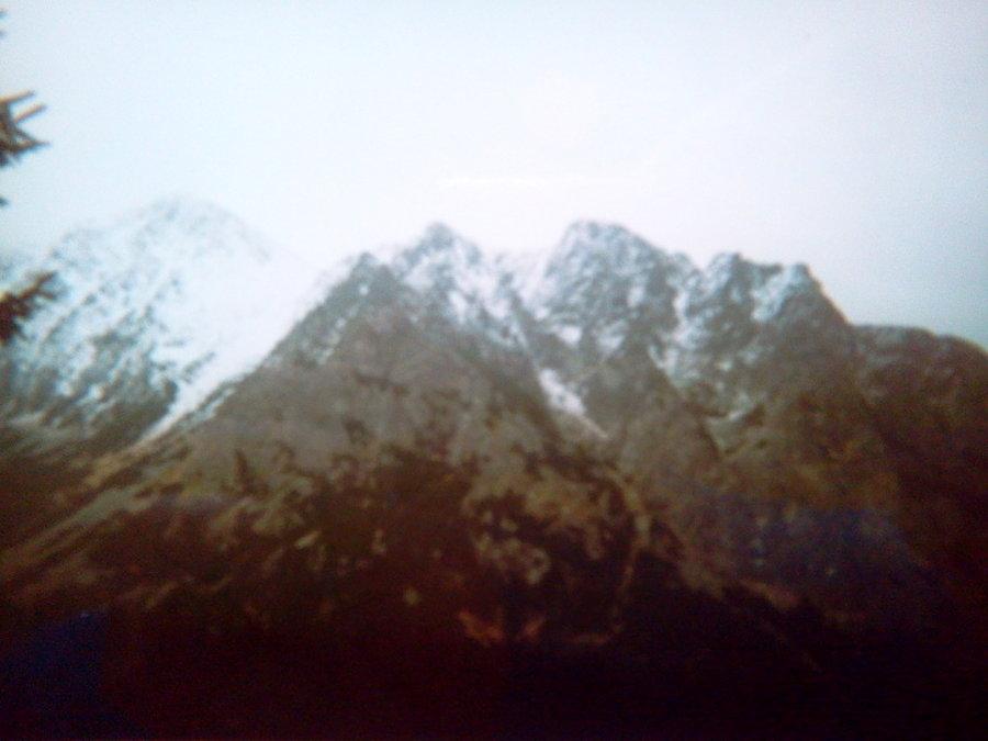 Osterwa