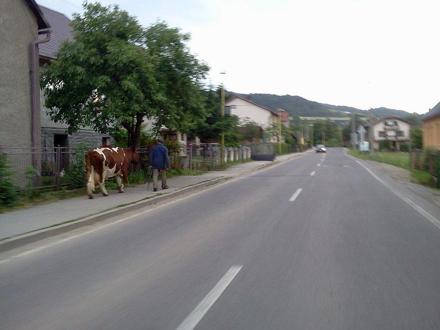 Skalite