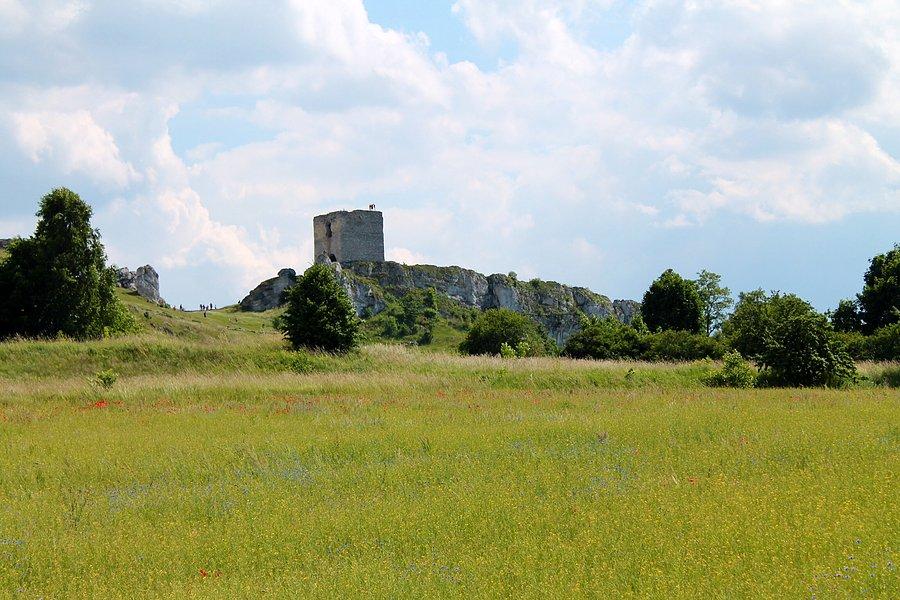 Wieżastarosty zamek Olsztyn
