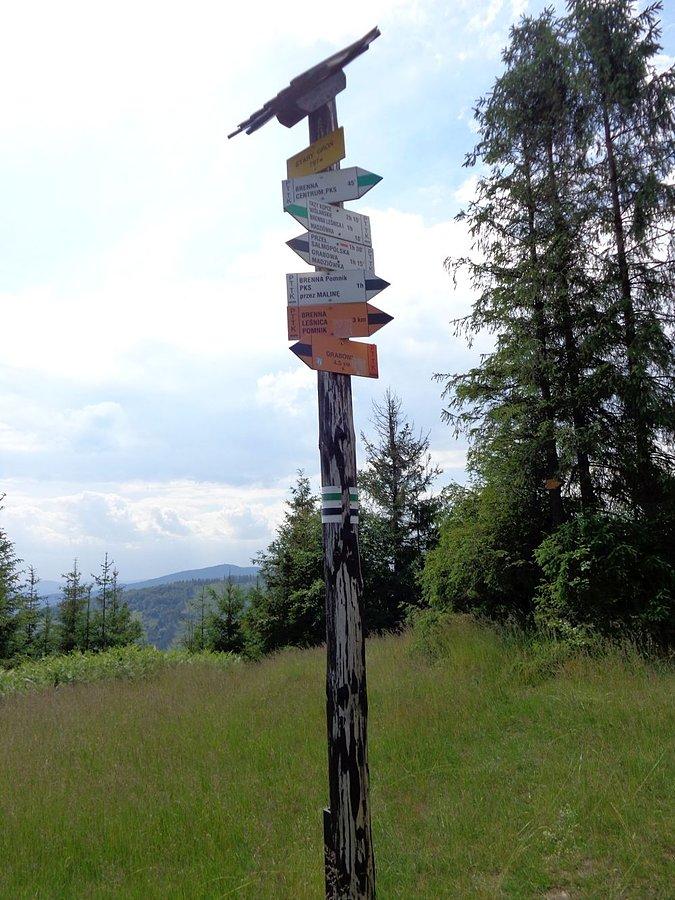 Stary Groń