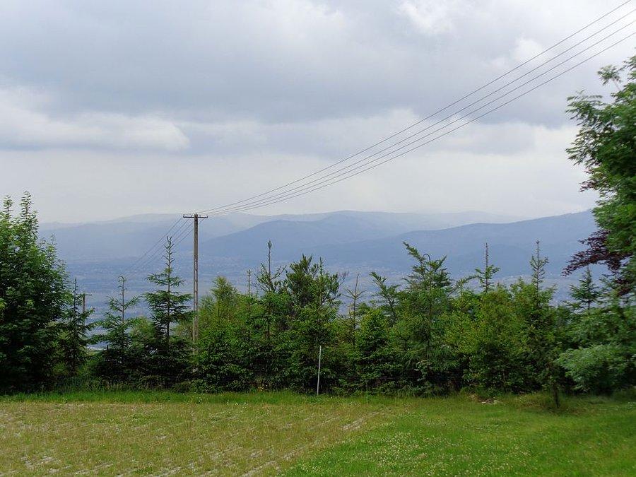 Widok z Magury Wilkowickiej
