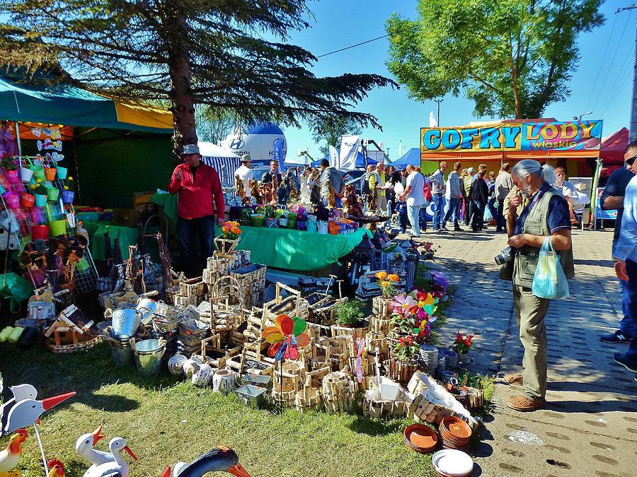 Targi Rolnicze w Starym Polu