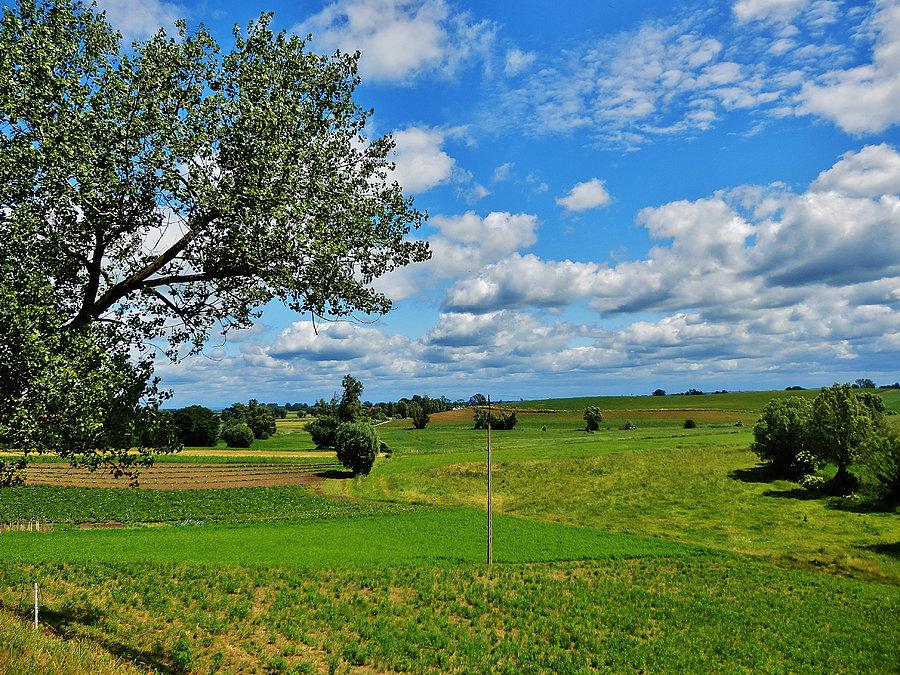 W drodze do Starego Pola. Krajobraz Żuław