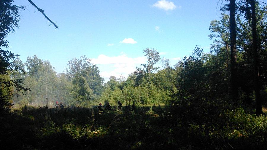 Akcja