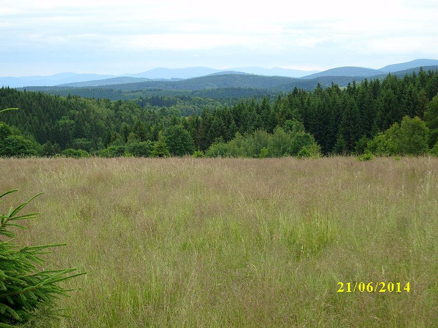 Widoczek
