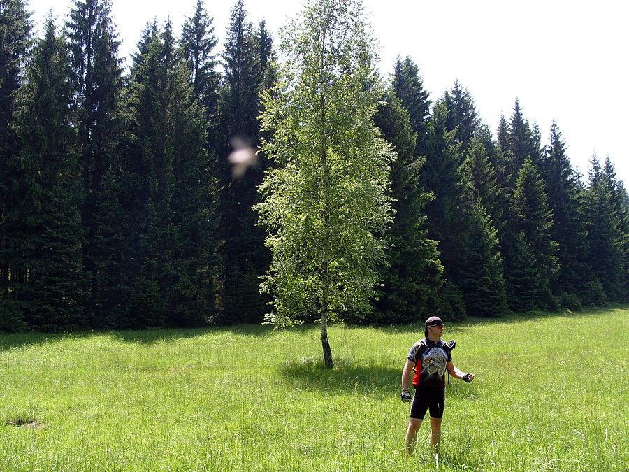 Między Batorówkiem a Karłowem zdjęcie jakiegoś posągu i bombowca który uderzył w środek obiektywu, czyli wielkiej zakichanej muchy. Po zdjęciu załatwiłem ją na cacy ;). Lagą przez grzbiet