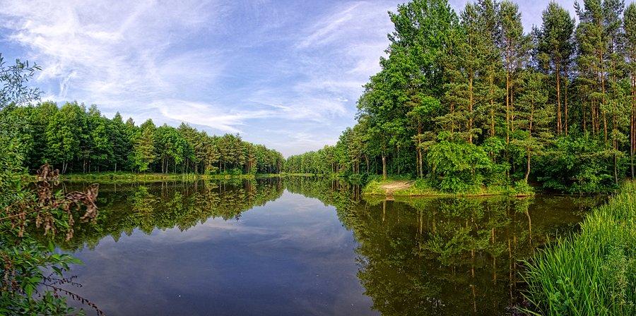 Staw w lesie w okolicach Kochłowic