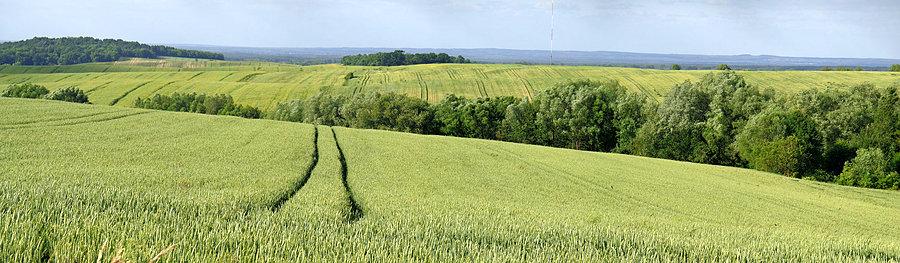 Panorama z Prababki