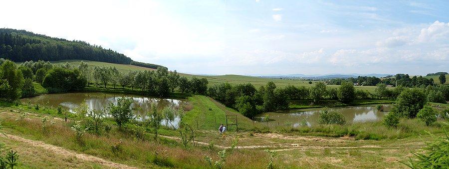 Panorama na stawy i okolice, czas dalej w las uderzyć