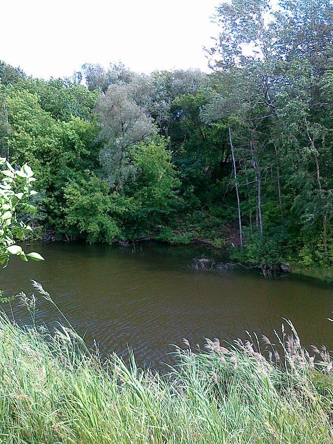 Fosa. Widok z góry