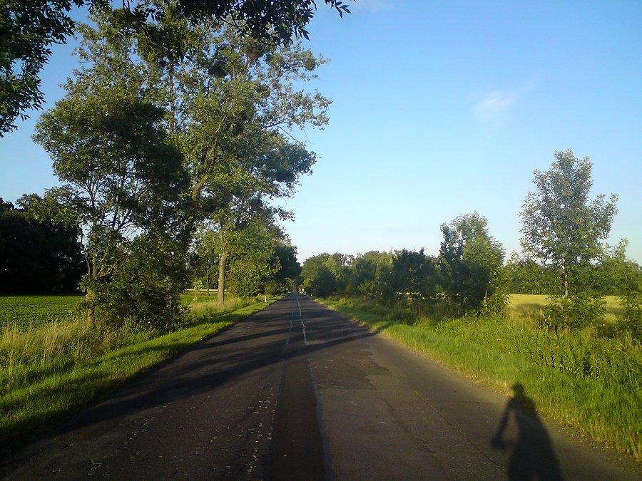Zalepionym środkiem jezdni