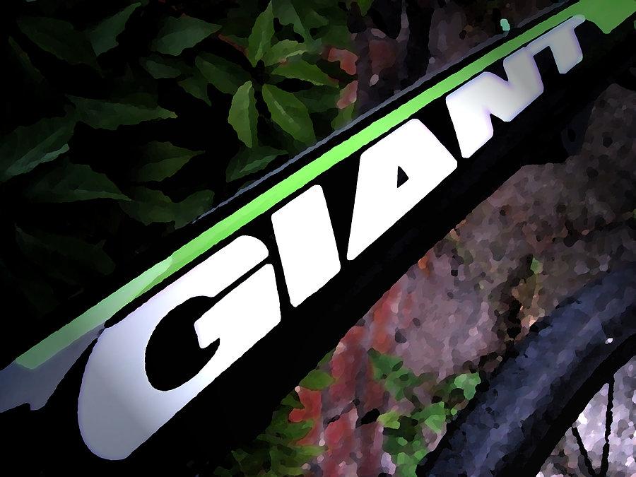 Giant Roam 2