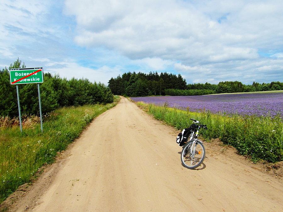 Droga w Bożepole Królewskie