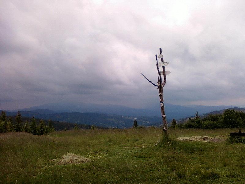 Widok z Jałowca (1111 m.n.p.m)