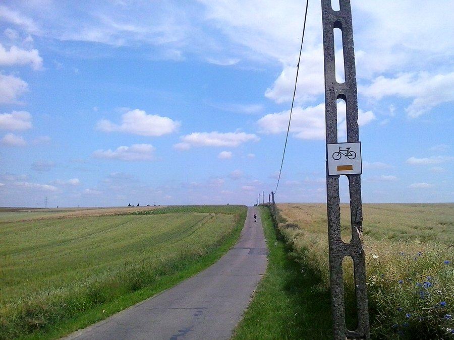 Trakt Żorski