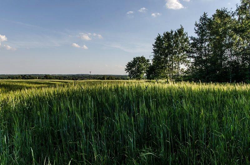 Piękny widok na śląsk