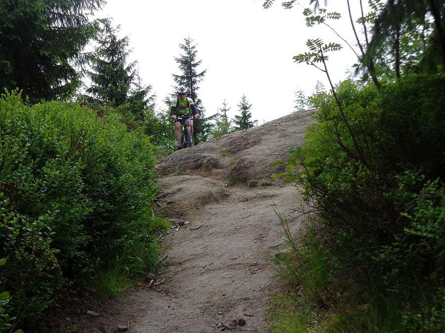 Prawdziewe MTB