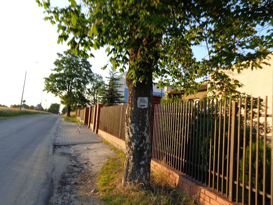 Czarny szlak rowerowy do Radomia