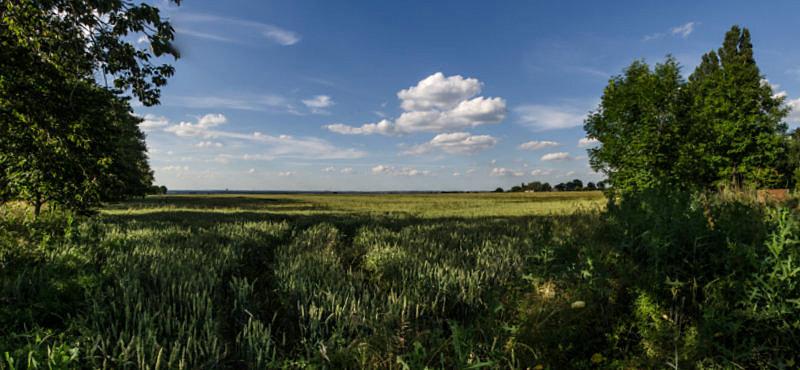 Okolice Bujakowa