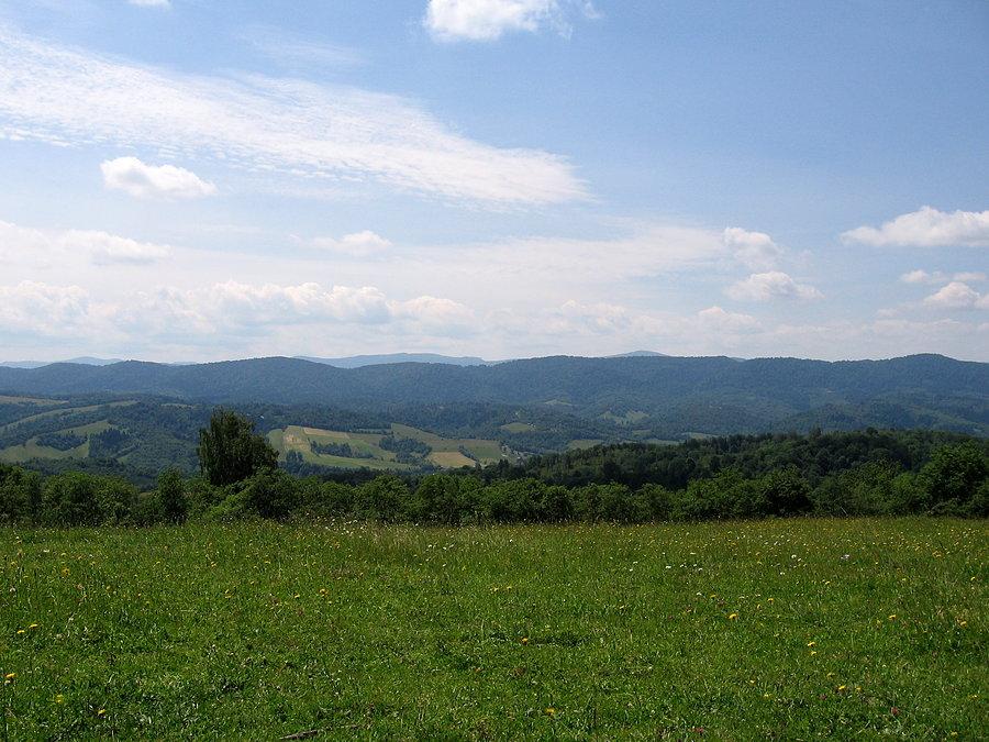 Tu był kiedyś Rosolin