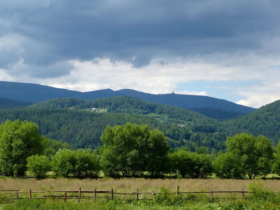 W drodze na granicę polsko-czeską