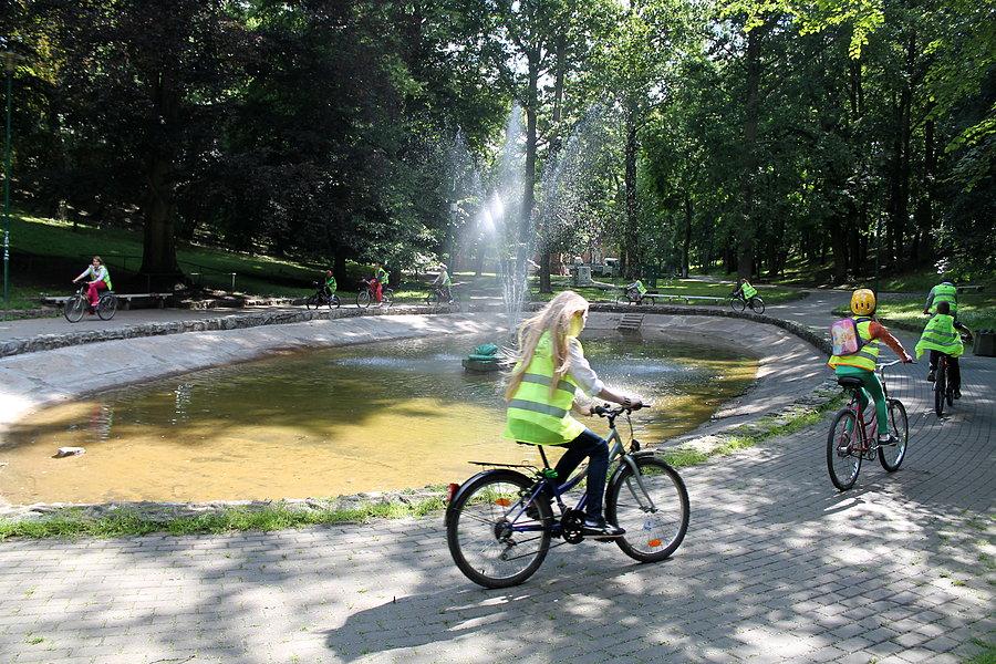 Park tczewski i słynnne żaby