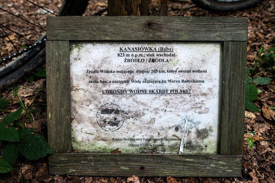 Na zobaczach Kanasiówki wypływa Wisłok- rzeka dobrze znana w Krośnie i Rzeszowie