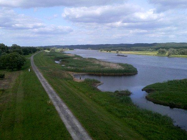 Widok z wieży