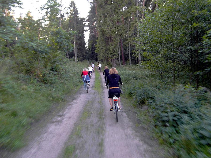 Leśna trasa…