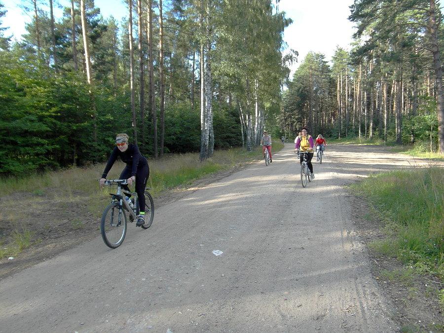 Leśna trasa…