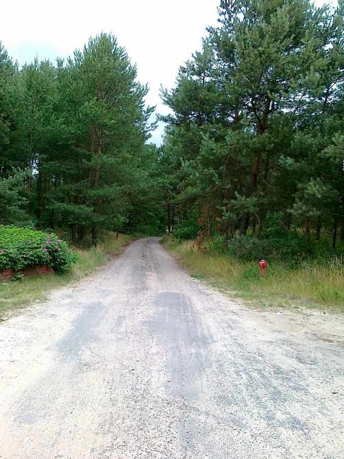 A ta przy tablicy o KPN odchodziła w lewo. Dokąd prowadzi sprawdzę innym razem