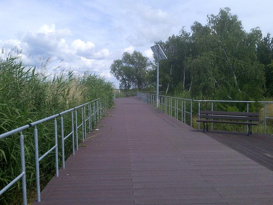 Pomost przez trzcinę