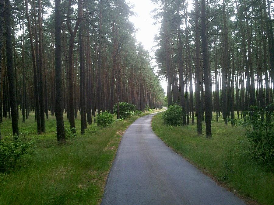 Czerwony szlak