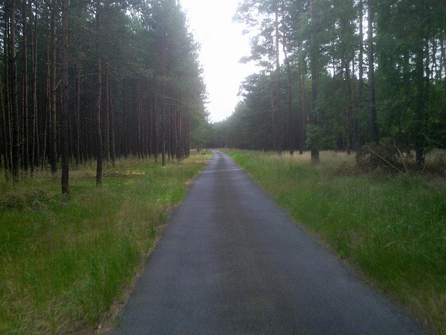 Kawałek dalej na szlaku