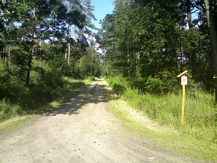 Trasa do biegów na nartach