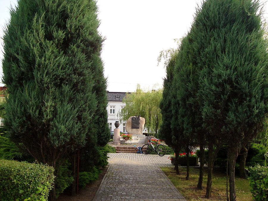 Dobrzyca