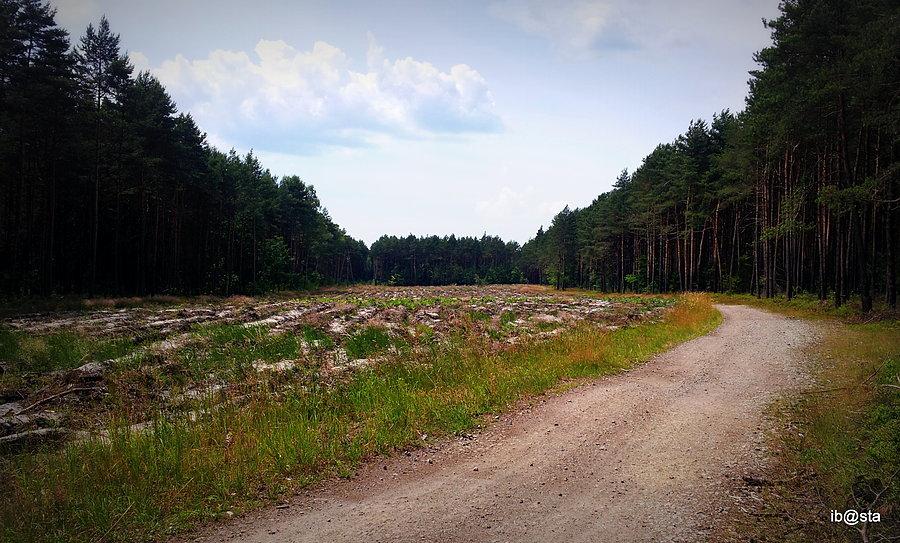 Bardzo fajna droga - na stałe trafi do atlasu ścieżek :)