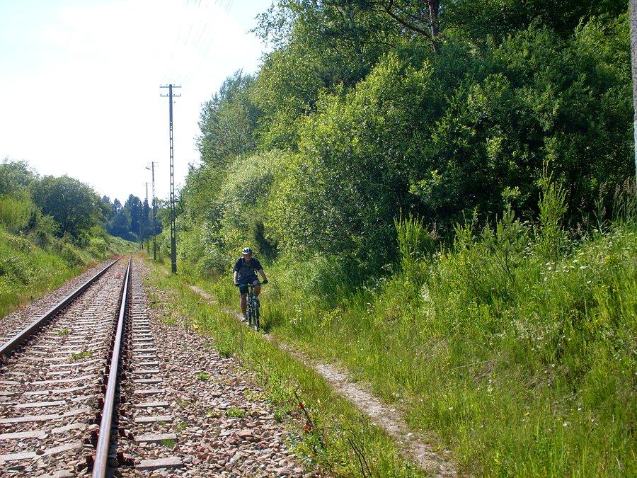 PKP singiel