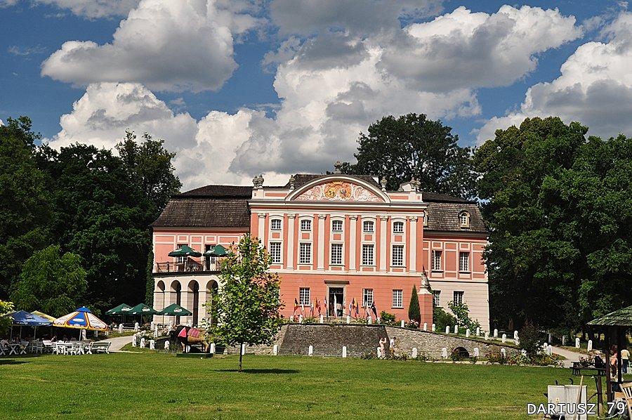 Kurozwęki - Pałac