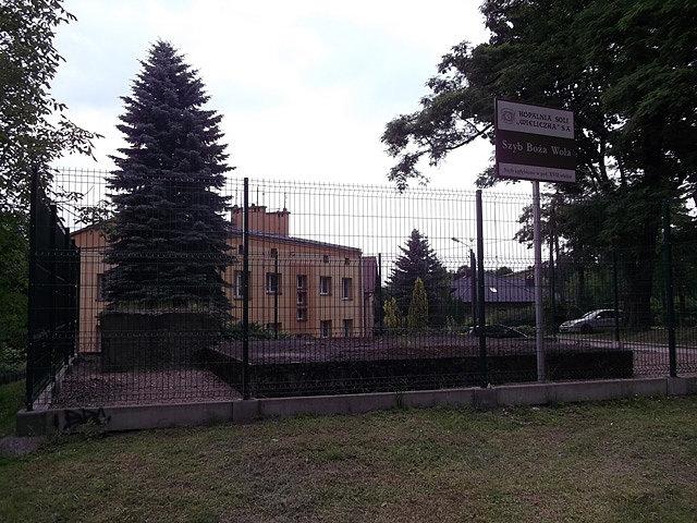 Szyb Boża Wola, wydrążony 1645, głęb. min. 130m (III poz.)